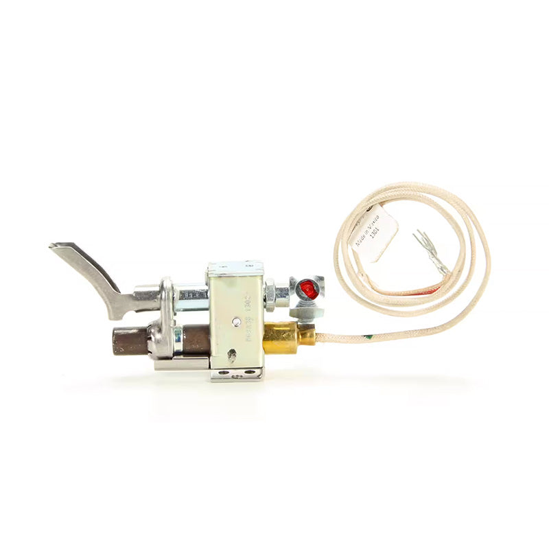 8102070 Conjunto piloto, ITT, gas propano Frymaster